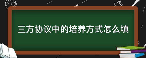 三方协议中的培养方式怎么填