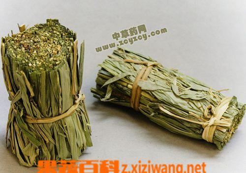 淡竹叶是什么 淡竹叶的功效与作用