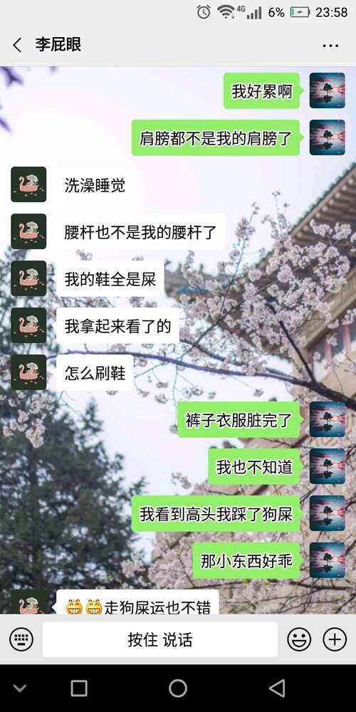 关于老疯杨流浪动物救助中心 一次救助有感