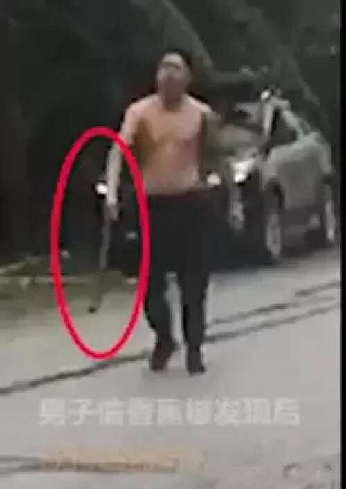 东北人偷香蕉事件