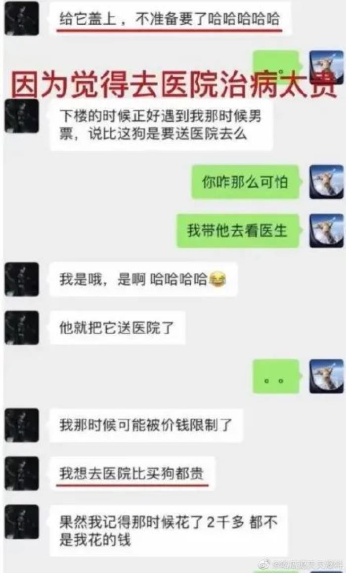 张翰牛肉面事件是什么梗（张翰终于吃上牛肉面了）