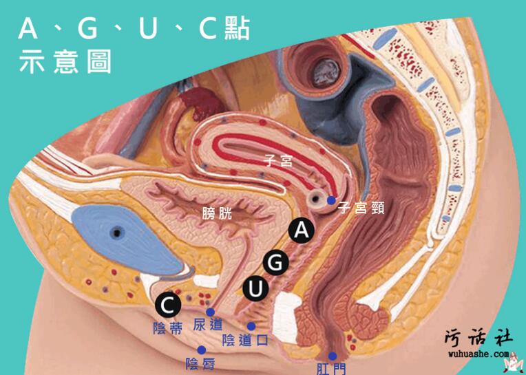 【涨姿势】污友一定要知道的女性G点与其他的高潮点！