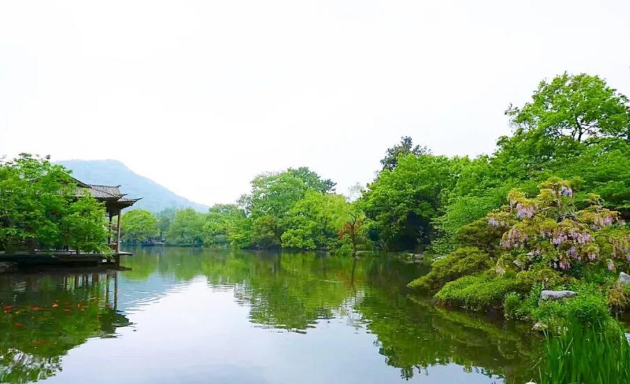 杭州：西子湖畔初见晴