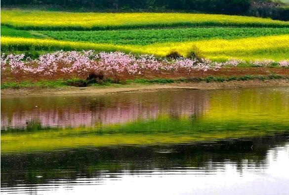 柳山湖桃花记