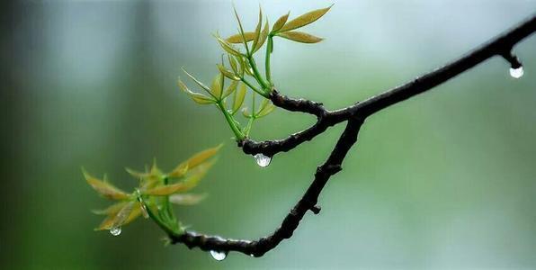 雨润万物