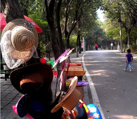 夏日，洒满相山的阳光