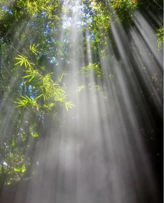 雨后