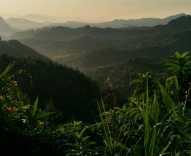 都说山里好，都往城里跑