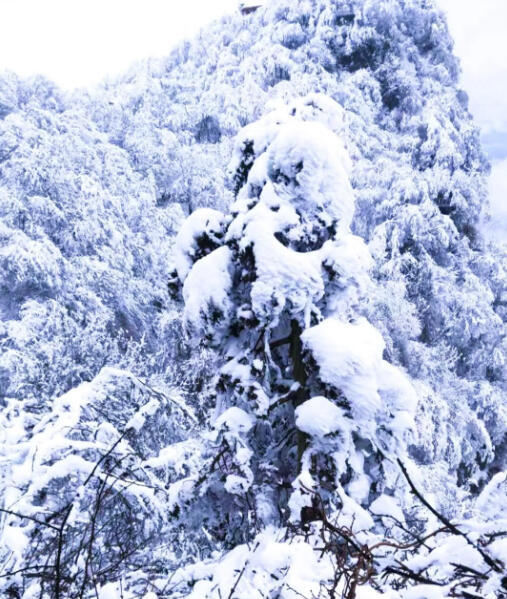 龙头山观雪