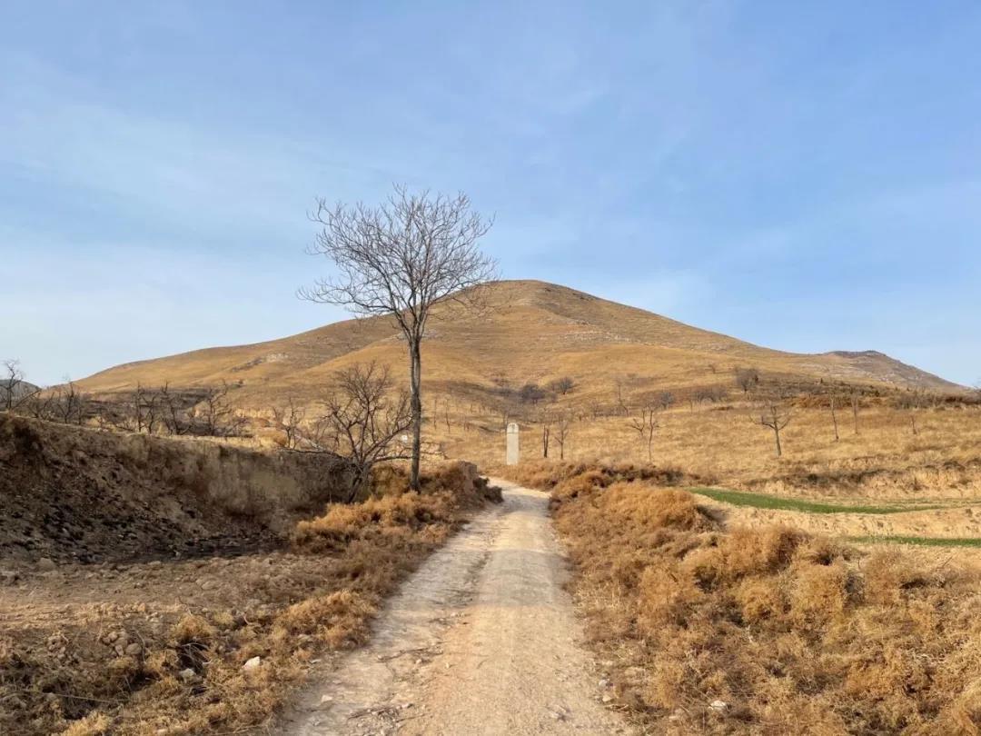 爬山记：金帜山，唐光陵，景陵，桥陵