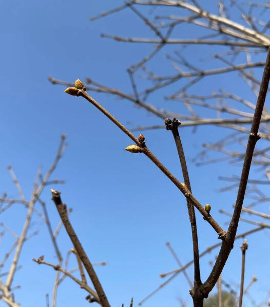 一些看上去特无聊的事情，恰恰藏着一种深深的爱。