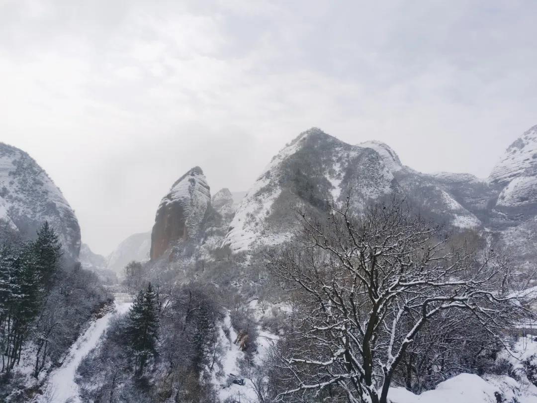 几份碎银，几餐饱饭，匆忙不过人间