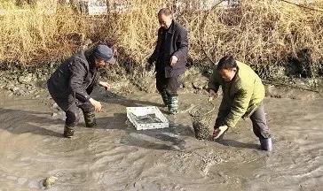 车塘逮鱼过大年