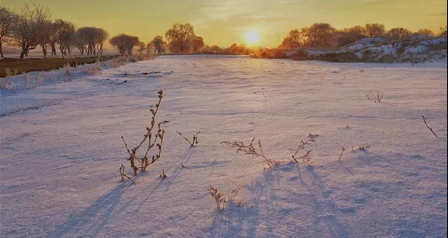 怀念你，冬的雪