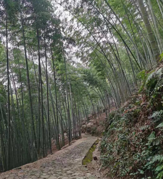 雪花潭之行记