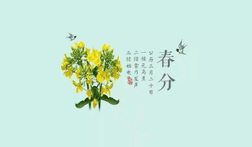 春分——千花百卉争明媚