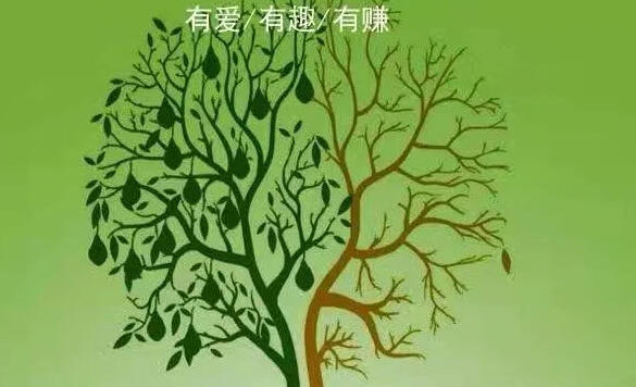 随笔/这些年 为让团队生存 我做过的一些事……