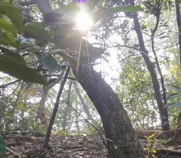 山一直在，我们可以自己越野嗨到底！