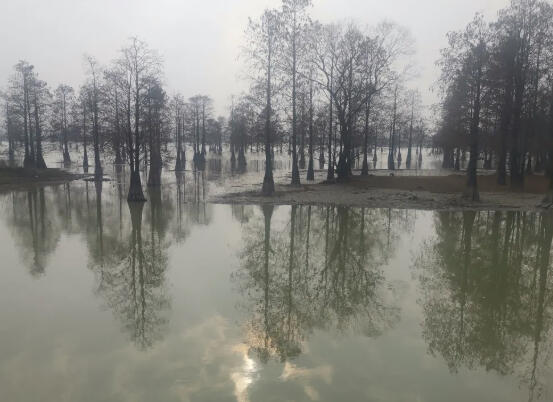 老街正在老去，水塘渐成风景