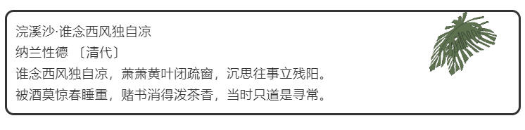 这个秋，怎一个凉字了得