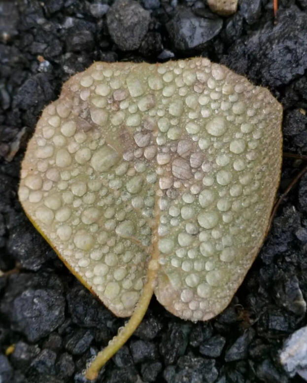 亲爱的，你还在好好迎风而跑吗？