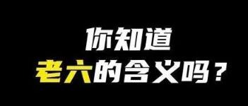 自来水、润人、老六都是啥意思？