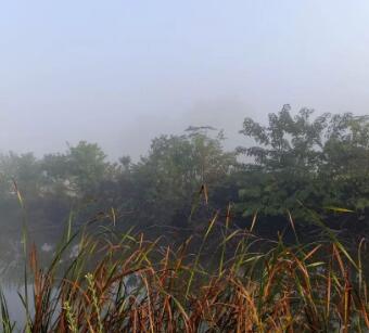 又得浮生一日雨