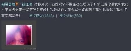 当33岁的汪峰遇到了16岁的嫩模葛荟婕