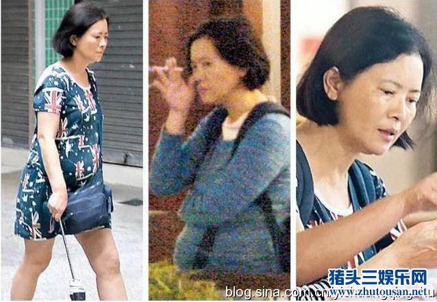 扒一扒蓝洁瑛从大美人沦为疯婆子的悲惨人生（图）