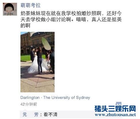 奶茶妹与刘强东悉尼拍婚纱照现场曝光（图）