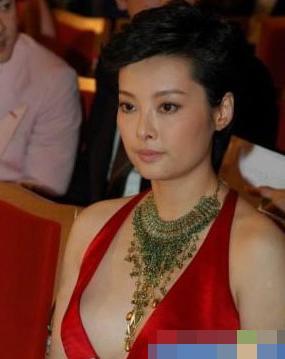 刘雨欣衔隐婚瞒婚自酿苦果的10大明星（图）