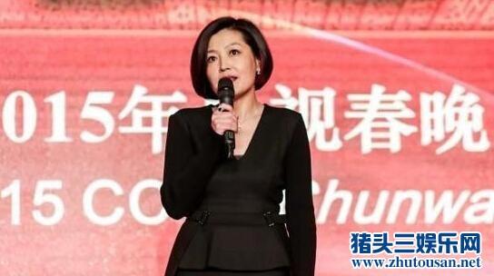 哈文离职今年春晚将由谁来当导演？