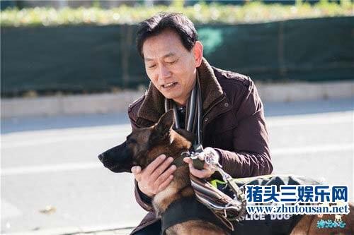 神犬小七霹雳为保护黄警官牺牲 小七哀恸扶灵催泪上演