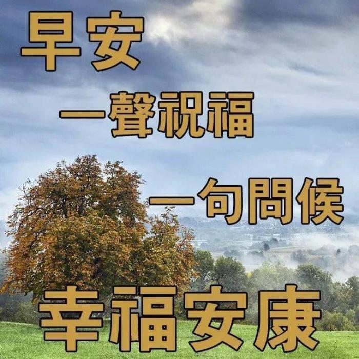 充满阳光正能量的图片文字大全