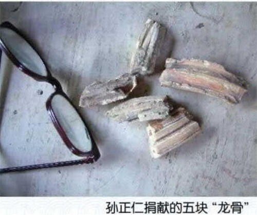 营口坠龙事件真相揭秘 怪物尸体很像龙的尸骸