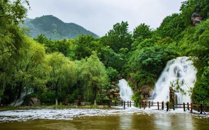 好看的春雨图片 山东各地春雨图片太美了