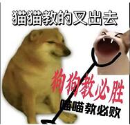 圣火喵喵教什么意思 猫猫教和狗狗教是什么梗