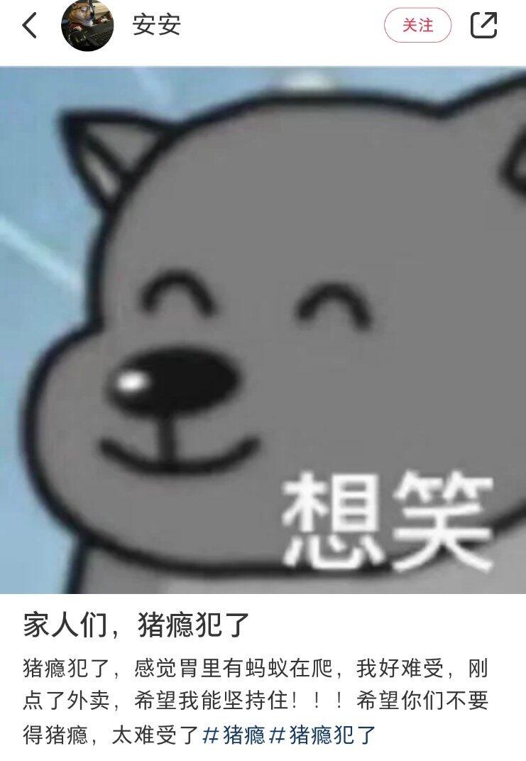 最近热门的口头禅“猪瘾犯了”究竟是什么意思？