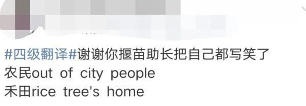 谢谢四级翻译是什么梗 你是揠苗助长，还是守株待兔？