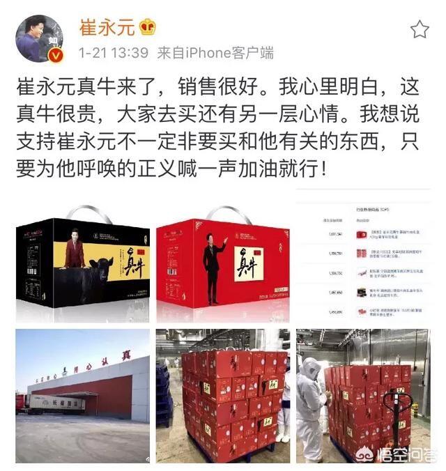 崔永元现在是什么状况 为什么突然消失了