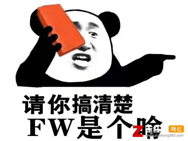 网络用语FW是什么梗，饭圈FW是什么意思