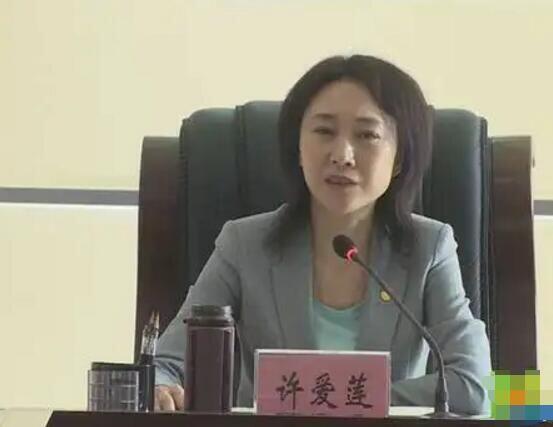 中国最漂亮的女市长有哪些 落网的是哪位