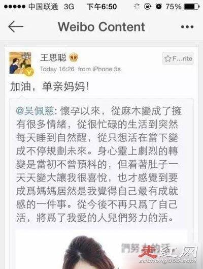 吴佩慈纪晓波为什么不结婚 为什么不能转正的原因