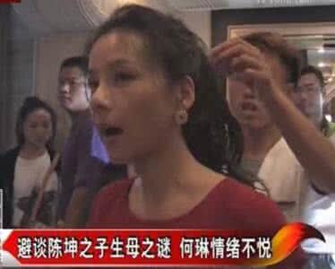 何琳陈坤分手原因 何琳陈坤生子实情天涯 何琳为什么这么恨陈坤