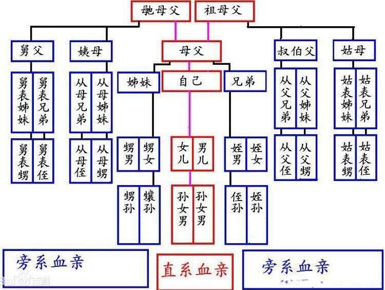 辈分称呼大全对照表 小孩对亲戚称呼关系表(很实用)