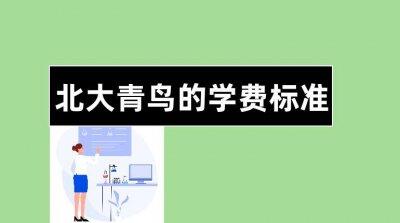 北大青鸟一般学费多少 所有专业的一年学费平均是11800